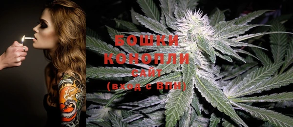 сатива Вяземский